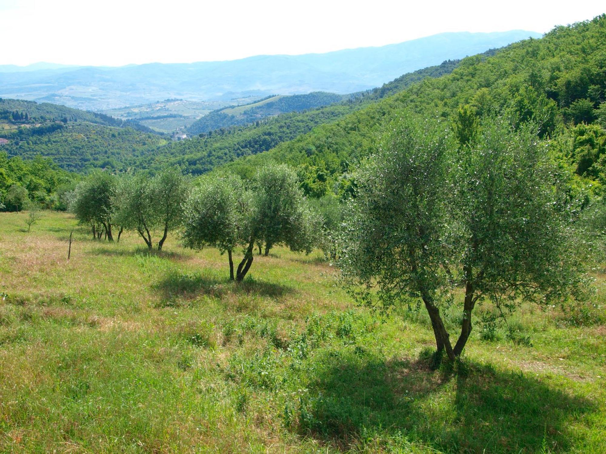 Casignano Panzió Bagno a Ripoli Szoba fotó