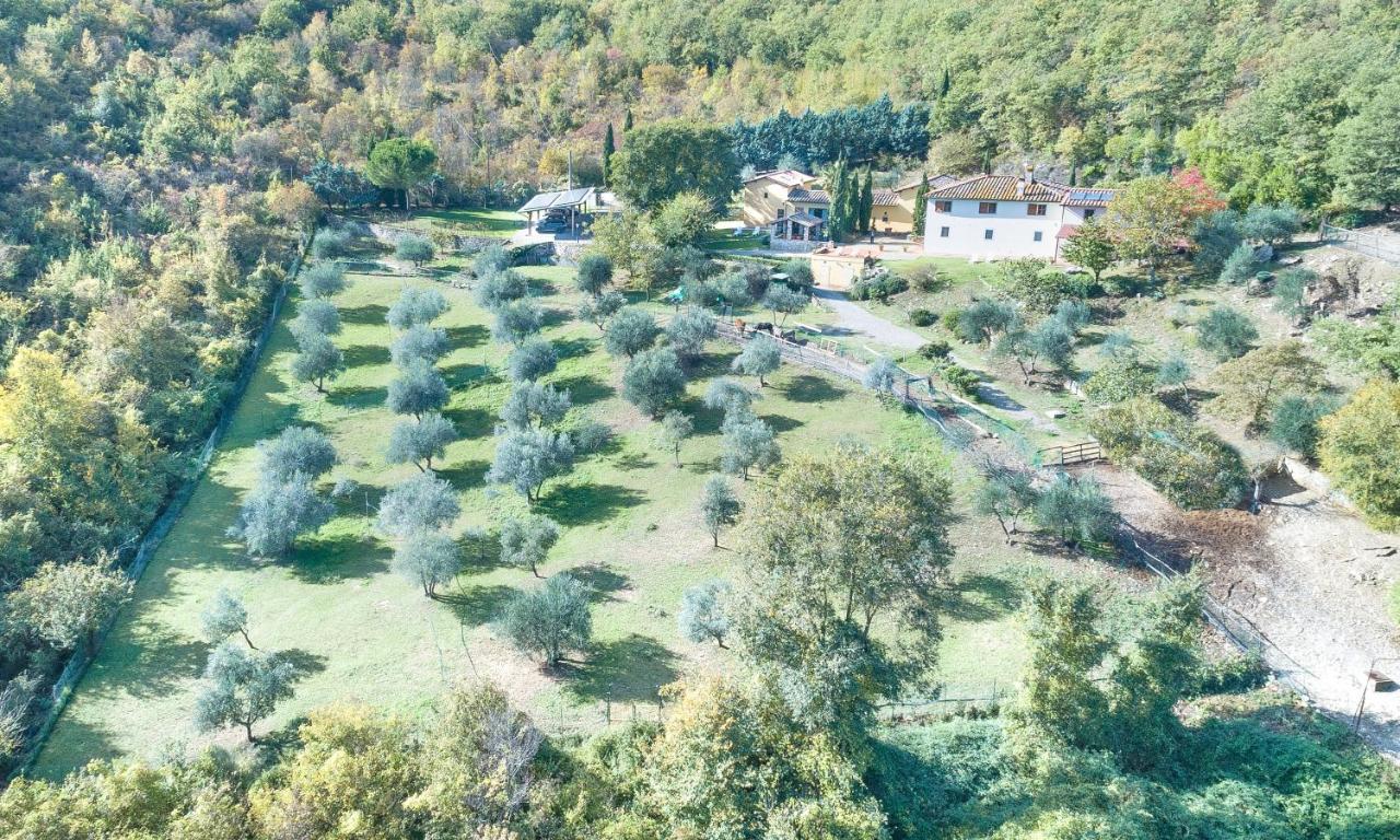 Casignano Panzió Bagno a Ripoli Kültér fotó